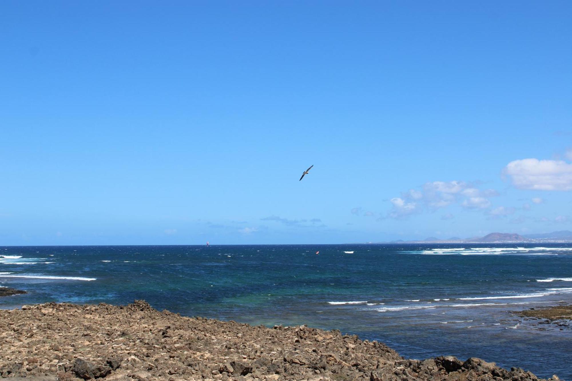 La Maresia By Sea You There Fuerteventura Majanicho Eksteriør billede